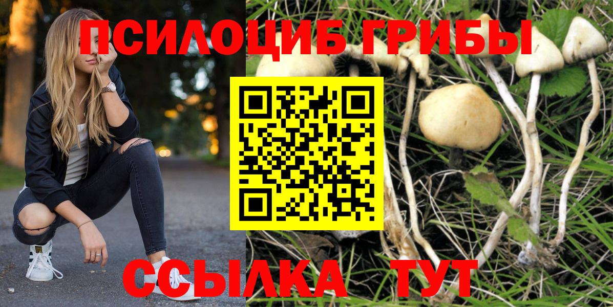 Брянск  Псилоцибиновые грибы Magic Shrooms  Вход с VPN 
